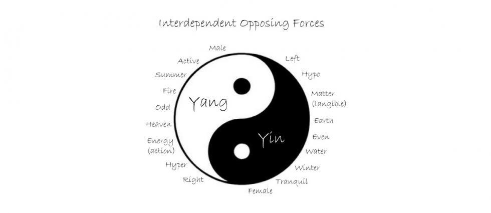 The Yin Yang Theory in Feng Shui by Dinesh Atrish